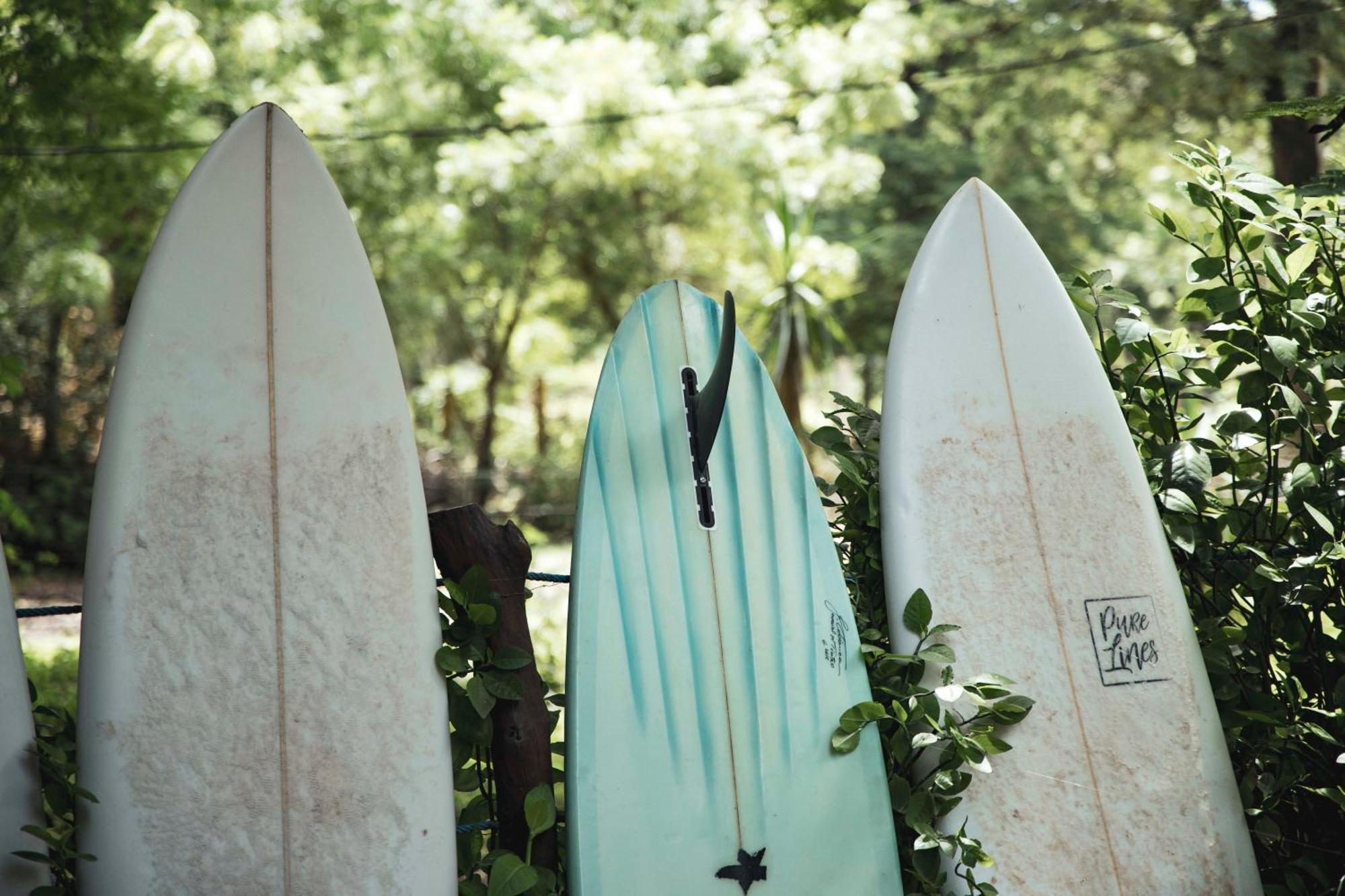 Mola Mola Surf Popoyo Bed and Breakfast Εξωτερικό φωτογραφία