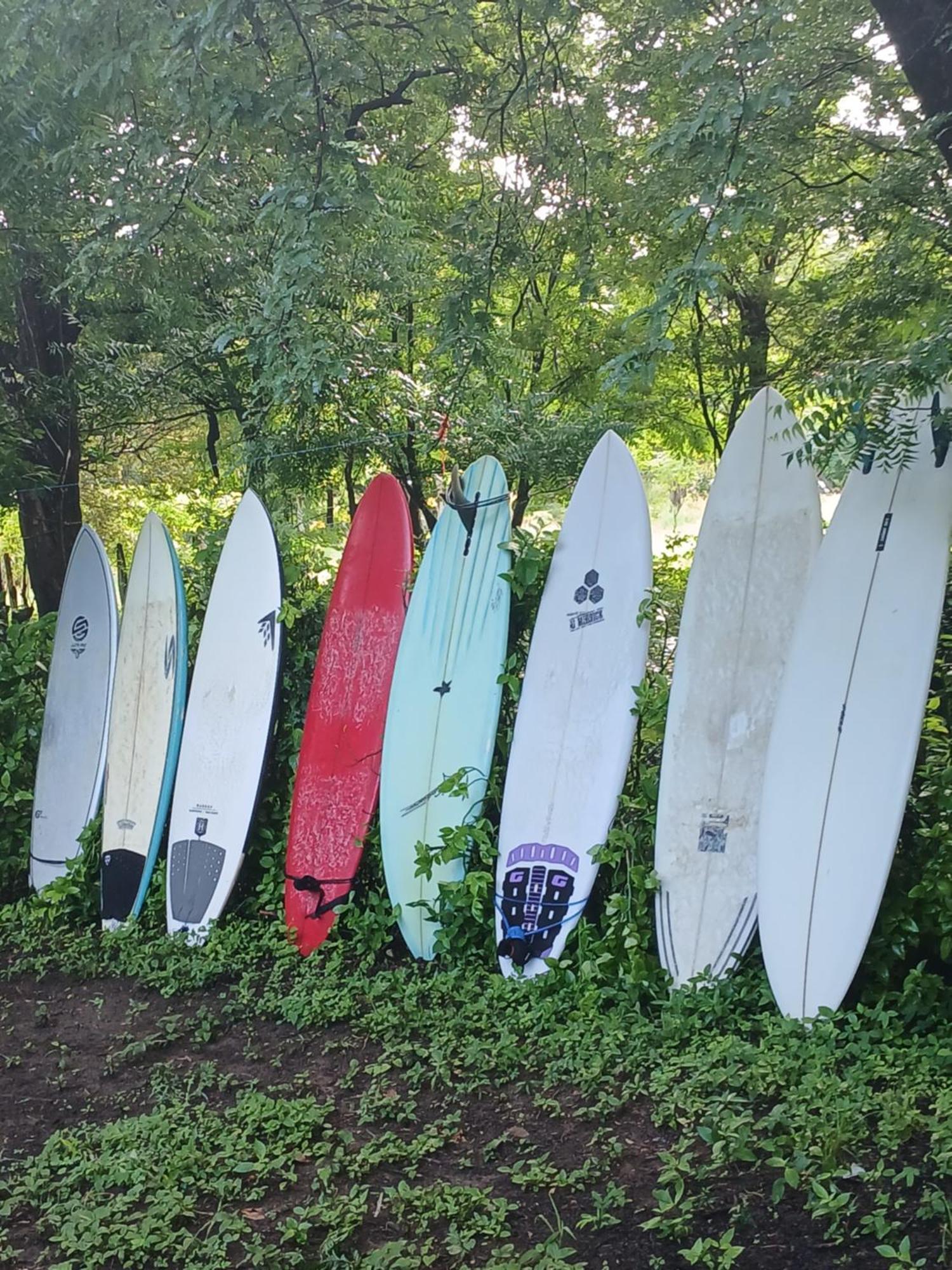 Mola Mola Surf Popoyo Bed and Breakfast Εξωτερικό φωτογραφία