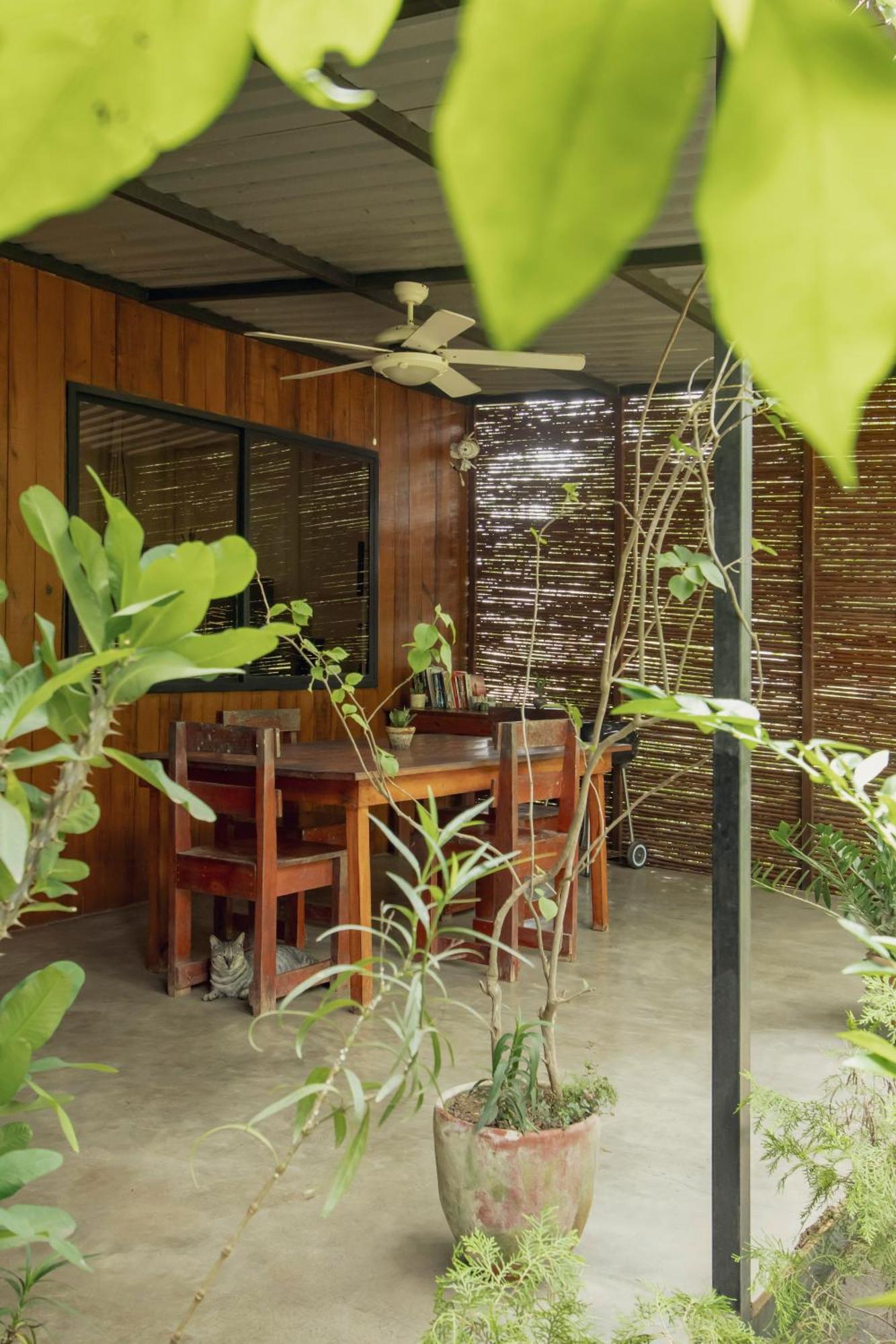 Mola Mola Surf Popoyo Bed and Breakfast Εξωτερικό φωτογραφία